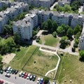 Nova mesta za ljubimce u Beogradu: Sve više otvorenih površina za vaše životinje - Već vrvi od gužve!