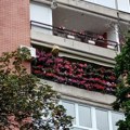 Najlepši balkon u bulevaru: Progalšeni pobedinici u tradiconalnoj akciji "Za zeleniji Beograd"