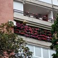 Izbor u sedam kategorija: Počela akcija "Za zeleniji Beograd"