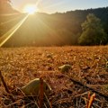 Kasnoletnja fotografija za dobro jutro