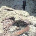 Fosili nove vrste dinosaurusa otkriveni sa krokodilskom kosti u čeljustima