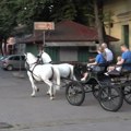 Neverovatan doživljaj i ovog leta u Kikindi: Svake nedelje uveče vožnja fijakerom! Mali Vujadin (10) iz Čikaga oduševljen…
