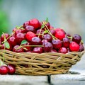 Nisu samo ukusno voće: Dijetolog navodi 5 odličnih razloga da jedete sveže višnje