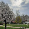 Početak radne nedelje uz promenljivo vreme sa kišom