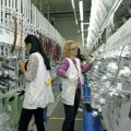 Katanac na jug: Zatvara se i fabrika „Trendteks“ u Beloj Palanci