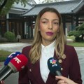 Mesarović: Srbija nastoji da dovede što više kineskih kompanija, mogao bi da dođe Gua Nan