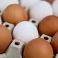 Ptičji grip i velika potražnja pred Uskrs – hoće li biti dovoljno jaja u Nemačkoj za praznik