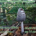 23. Izložba gljiva: Najukusnije, najotrovnije, najveće i tako retke da nemaju ni ime