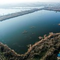 Palićko jezero uspešno očišćeno od vodene salate