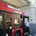 (Mapa) jedna autobuska linija u Beogradu menja trasu: Evo kako će voziti narednih 10 dana, ovo je razlog