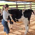 Anđela je napustila dobro plaćen posao i otišla na selo da čuva krave: "Kad sam dala otkaz, svi su mi se smejali i rekli ovo"…