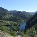 Kako je Josif Pančić na obroncima Tare pre 150 godina otkrio do tada nepoznatu vrstu četinara