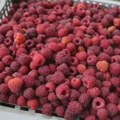 Država uvodi obavezne ugovore za otkup žitarica, voća, mesa i drugih proizvoda: Evo šta se menja