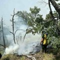 Požar još nije lokalizovan: Nastavlja se borba sa vatrenom stihijom na Stolovima (foto)