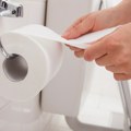 Razotkriveno: Tajni sastojak u srednjem sloju toalet papira menja sve!