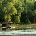 Raspisan konkurs za učešće u 5. Međunarodnoj fotografsko-ekološkoj koloniji "Dunav"