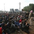 Još jedna muka pritisla Siriju: Najgora suša u poslednjih 70 godina, zemlja na ivici žeđi!