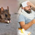 Raste broj zaraženih od leptospiroze u Sarajevu: Samo u ove 3 opštine nema prijavljenih slučajeva, za sada