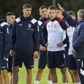Licitacija uveliko počela - ko će biti selektor Srbije? ANKETA
