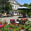 U subotu će mirisati centar Kikinde: Održaće se bazar i sajam cveća