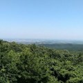 Zbog afričke kuge svinja zatvoreni prolazi kroz šume: Na snazi zabrane i posebne mere zaštite