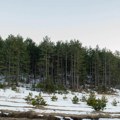 Sneg napravio haos na planinama! Preko Tare zabranjen saobraćaj za šlepere, na teren poslate nadležne ekipe (Foto)