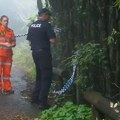 Jezivo otkriće u parku na Zlatnoj obali: Mala lobanja namerno postavljena na zemlju pored staze, niko ne zna šta se dešava