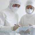 Eutanazirano na stotine svinja: Ponovo izbila afrička svinjska kuga u Slavoniji