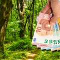 Srbi beže na Taru: Oaza mira bez zgrada i betona, evo koliko tačno košta ar zemlje za savršenu vikendicu