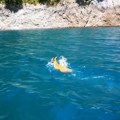 Nestvari prizori na Pivskom jezeru: Srna ga hrabro preplivala, ljudima zastao dah od lepote (video)