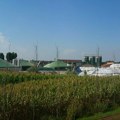 Srbija baca energetsko blago? Najveća energetska rezerva nije pod zemljom, već na farmama širom Srbije
