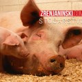 Afrička kuga svinja: I Banatski Dvor na spisku zaraženih područja
