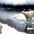 Arktički led mogao bi da se topi brže u narednim godinama