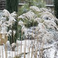 Nova najava RHMZ: Evo gde je u Srbiji moguć sneg