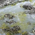 Rudnik kod Bosilegrada prekogranična pretnja: Cijanid i neprečišćavanje otpadnih voda neprihvatljivi za Bugarsku