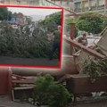 Snažan vetar oborio drvo na ženu: Nevreme stiglo i do Skoplja, dramatična scena, prolaznici pokušavaju da joj pruže pomoć…
