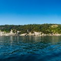 Ostrvo koje smeju da posete samo vojnici i naučnici jer na njemu živi najopasnije stvorenje na svetu: Ne bi bilo dobro da…