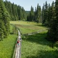 Kopaonik vas čeka – sveže, zeleno, uzbudljivo leto, a na dohvat ruke