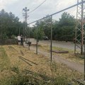 Збор грађана МЗ „Жарко Зрењанин“ и група родитеља извојевали једну велику победу