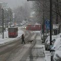 U Beogradu će pasti čak 20 cm snega Ledena zver će tek da stegne Srbiju, a sutra će biti najintenzivnije: Meteorolog najavio i…