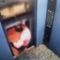 Jeziv snimak kruži mrežama: Muškarac za dlaku izbegao smrt - hteo da izađe iz lifta pa jedva ostao živ (video)