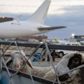 Jagnjad iz Srbije prvi put avionima za Sever Afrike: Otvoreno potpuno novo tržište, ugovoren ogroman posao (foto)