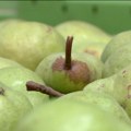Zasadi krušaka sve češće potiskuju jabuku