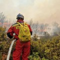 Požar u selu kod Čačka: Vatra koja je zahvatila nekoliko hektara širi se ogromnom brzinom
