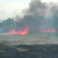 Šumadija u plamenu – ugrožene kuće, svi vatrogasci na terenu