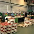 Stroži standardi EU za uvoz poljoprivrednih proizvoda – nova prepreka ili šansa za Srbiju