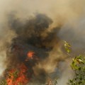 Ponovo izbio šumski požar u mađarskom Nacionalnom parku