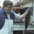 Kilogram šarana 750 dinara, pastrmka "blago" skuplja: Pala cena ribe na pijacama
