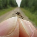 Trikovi kako da ublažite svrab od uboda komarca