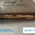 EUROPOL: U akciji protiv trgovine umetninama zaplenjeno više od 37.700 predmeta